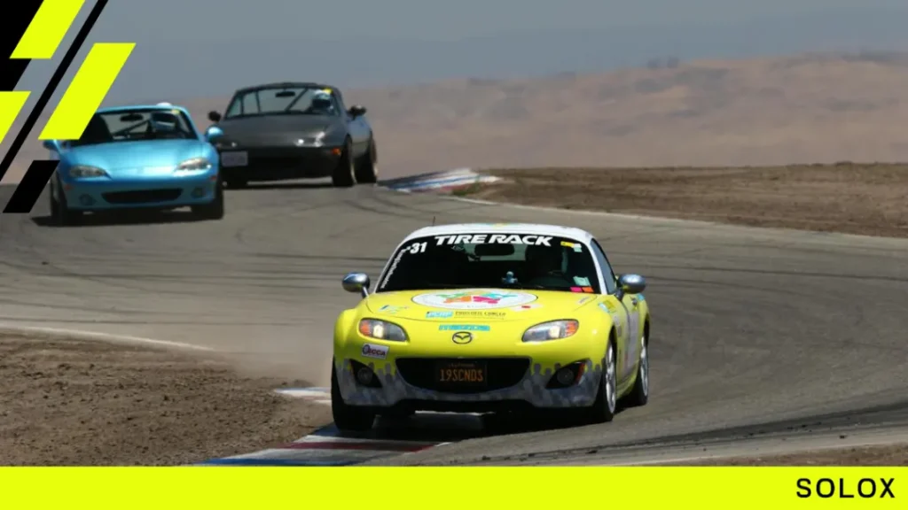 Variety of cars and tracks
