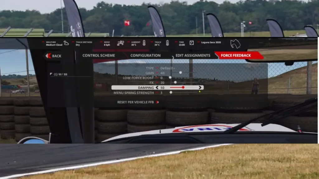 Best Automobilista 2 Wheel & FFB Settings