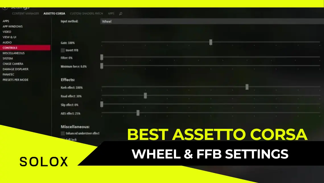 Best Assetto Corsa Wheel and FFB Settings To Win Races
