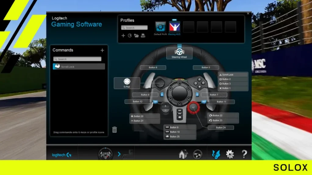 Logitech FFB and wheel calibration (G29 & G920)