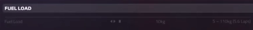 f1 2019 china setup - fuel load