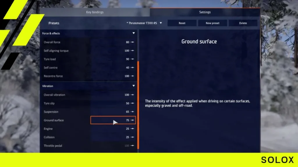 What are the best WRC 10 Thrustmaster settings