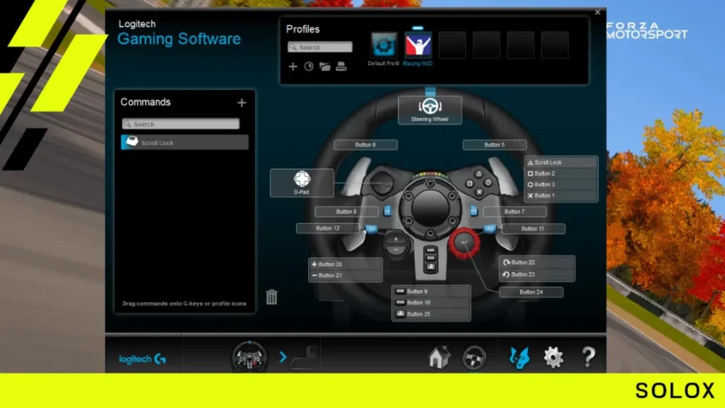 Logitech G29/G920 wheel calibration