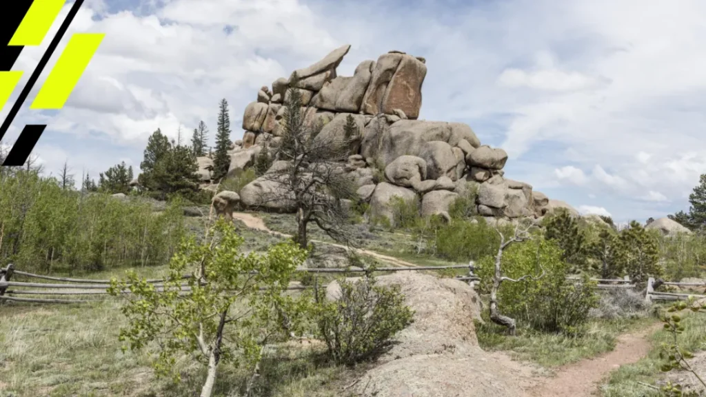 What is Turtle Rock?