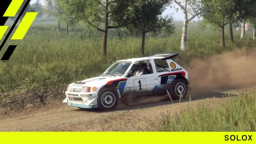 Peugeot 205 T16 Evo 2 (Dirt Rally 2.0)