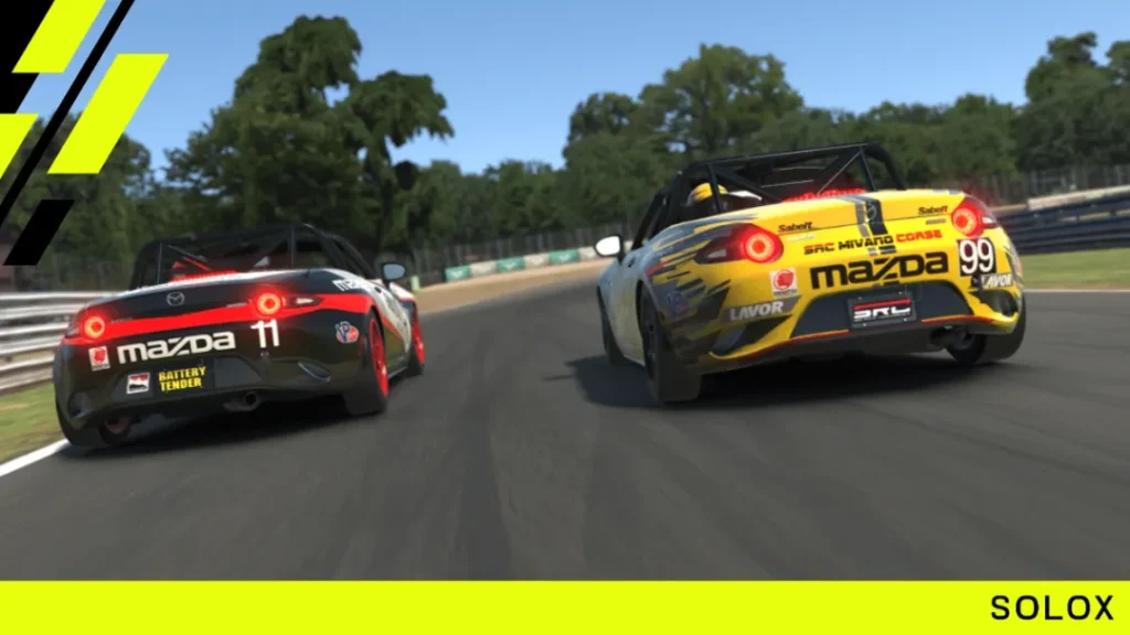 The Evolution and Expansion of Sim Racing