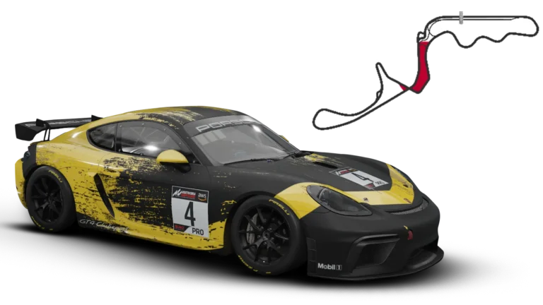 Porsche 718 Cayman GT4 ACC Setup Suzuka